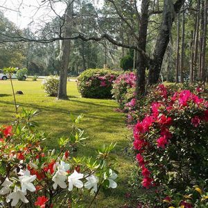 Meet your Posher, Sheri